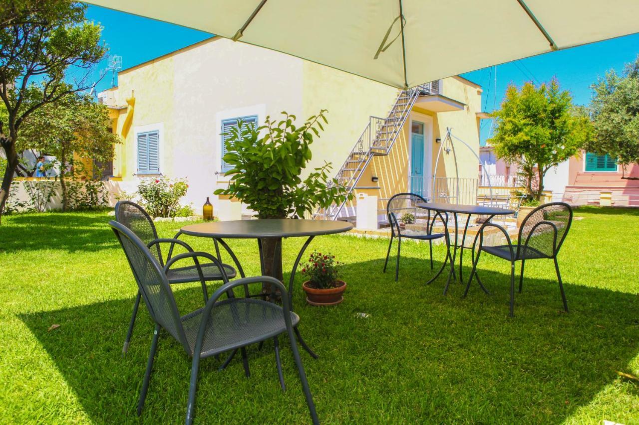Prochytea * Procida